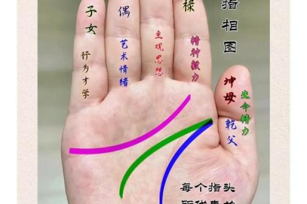 《手相学习百科》：命运线