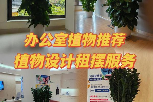 如何根据办公室的风水原则来摆放花卉