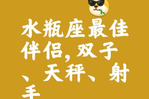 水瓶女和什么星座配对指数最高