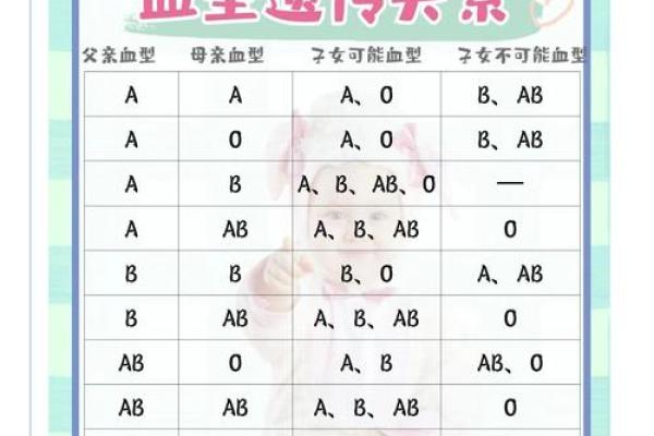 血型组合解读夫妻关系