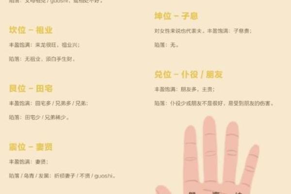 《手相学习百科》：手纹的成长与改变
