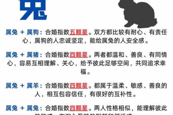 属兔的女人和什么属相最配对 属兔的女人和什么属相最配婚姻
