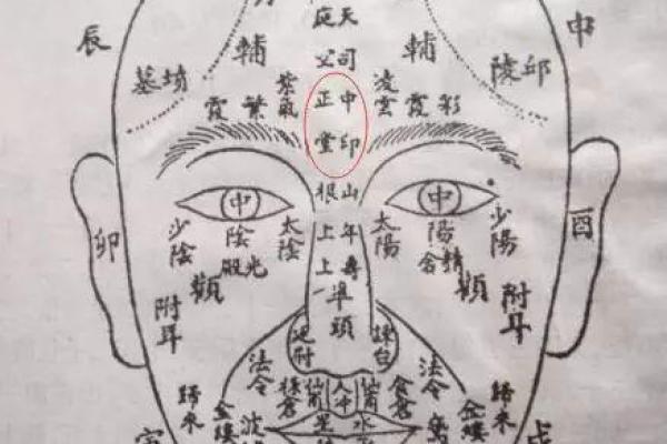 十指指纹算命看你命运吉凶，最全最具体最准