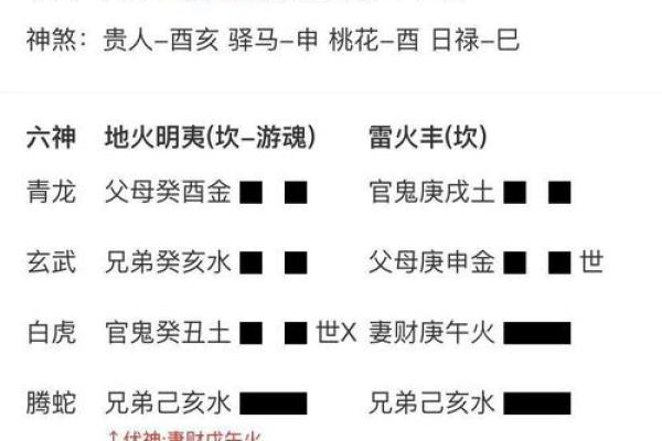 飞星紫微斗数用太岁入卦 紫微斗数太岁指什么？