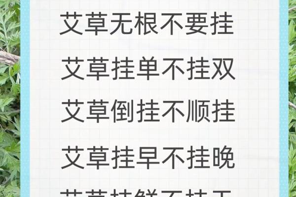 风水解答为什么不应该将艾草作为礼物送给别人