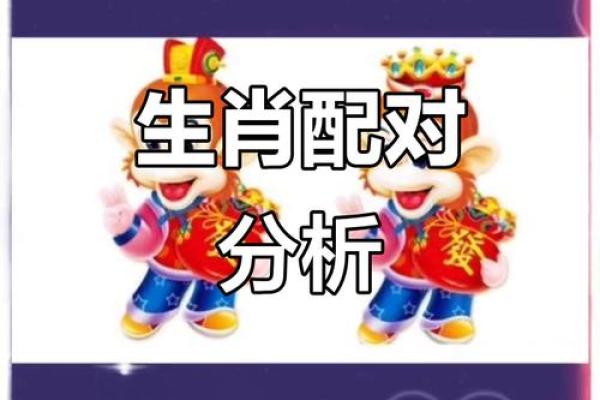 生肖配对：属鼠的和什么属相最配