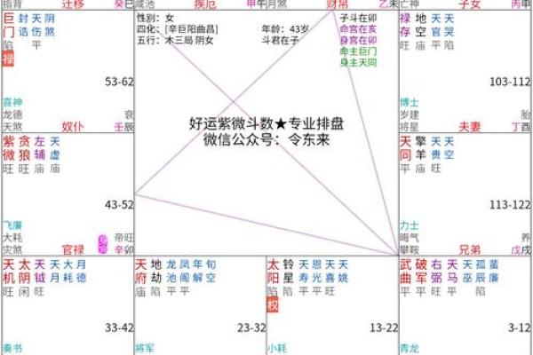 紫薇斗数流年怀孕