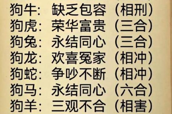 生肖属兔和属狗的合不合 相合配对指数