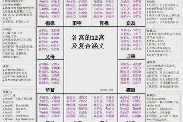 紫微斗数夫妻宫太阴星脸型