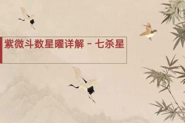紫微斗数七杀星的部分解析