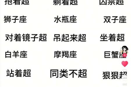 看12星座谁最会说谎