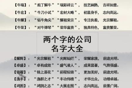 网络公司名字大全-名字大全姓名