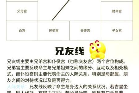 紫微斗数紫薇在兄弟宫怎么解读