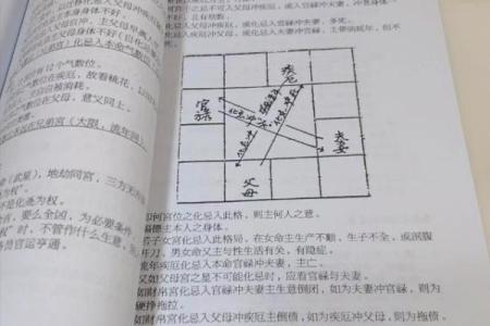 紫薇斗数入门书籍推荐