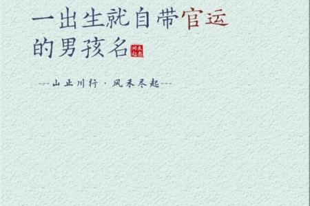 2019年3月22号巳时出生的男孩应该起什么样的名字姓名