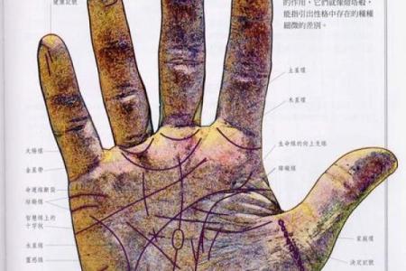 《手相学习百科》：手纹的成长与改变
