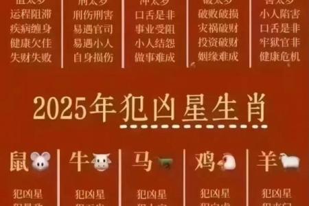 飞星紫微斗数用太岁入卦 紫微斗数太岁指什么？
