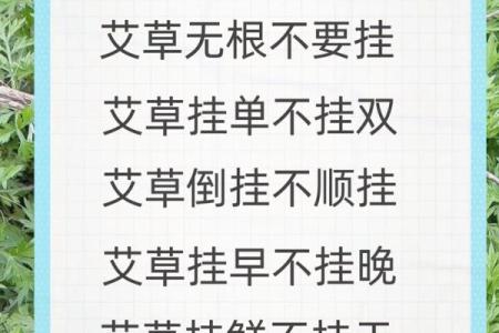 风水解答为什么不应该将艾草作为礼物送给别人