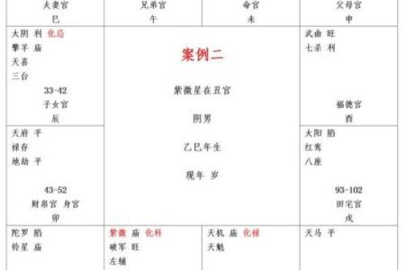 紫薇斗数看运势