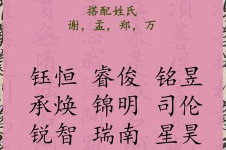 2019年3月17号酉时出生的男孩应该起什么样的名字姓名