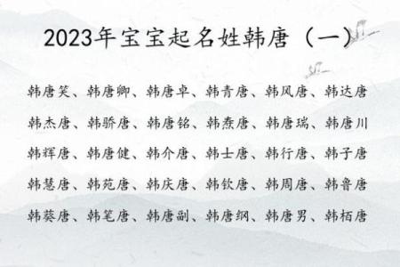 2019年3月30号辛时出生的男孩起名方法姓名