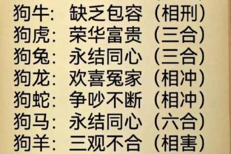 生肖属兔和属狗的合不合 相合配对指数