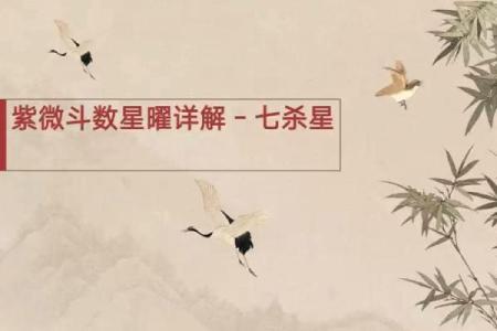 紫微斗数七杀星的部分解析