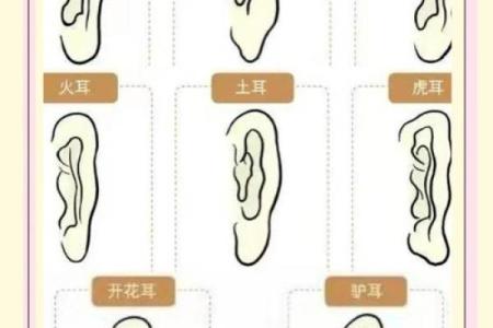 耳朵算命耳朵看运势大全,耳朵命运图解