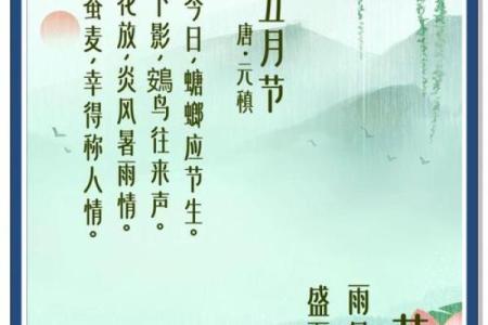 芒种节气的民俗活动 芒种节气小知识