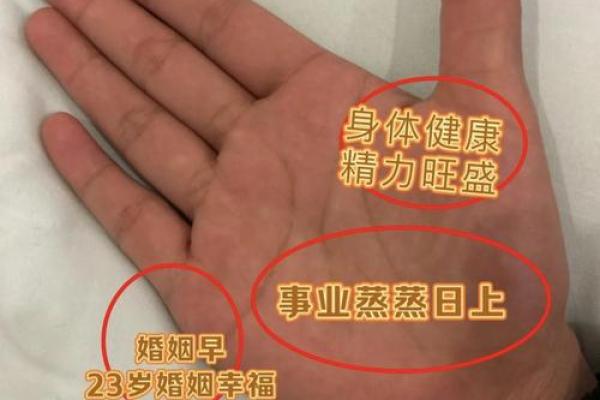 手型算命：水型人的性格与命运