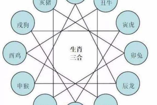 属鼠和什么属相最配对 属鼠和什么属相相冲