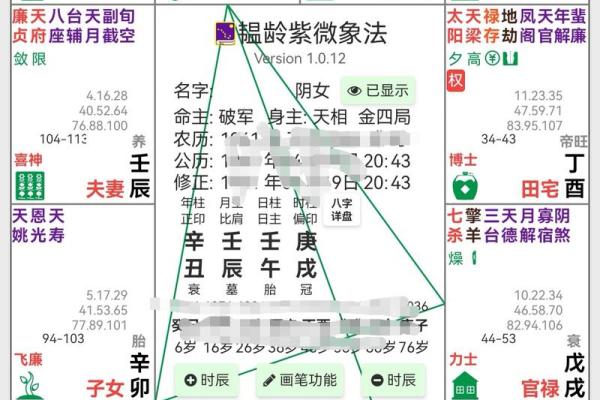 紫薇斗数看受伤