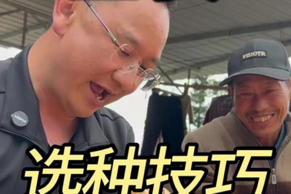 家种姜风水好吗