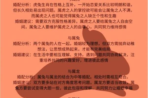 1999年属什么生肖配对