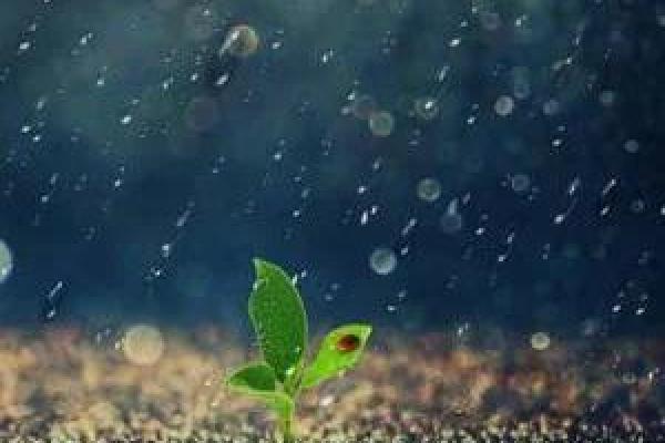 梦见下雨的吉凶财方位
