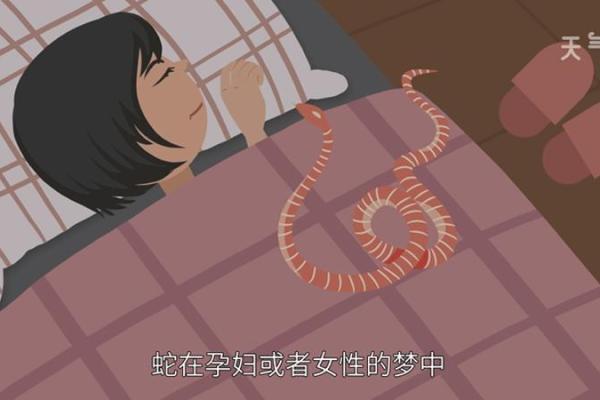 梦见算命人说我没人要