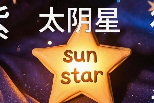 紫薇斗数太阴太阳代表