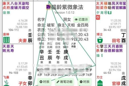 紫薇斗数看受伤