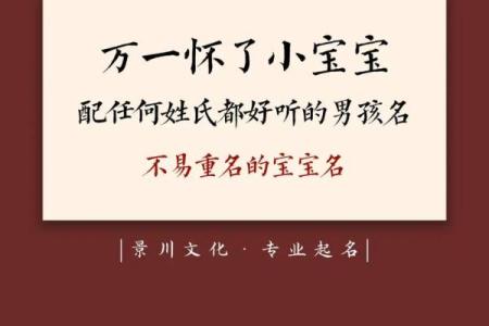 2019年5月27号寅时出生的男孩起名方法姓名