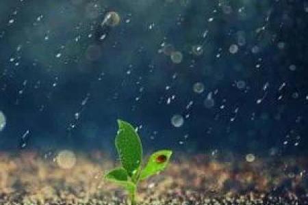 梦见下雨的吉凶财方位
