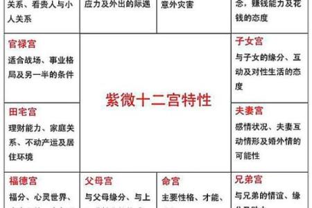 紫微斗数诸星落诸宫之，七杀星：阴金疾厄宫详解