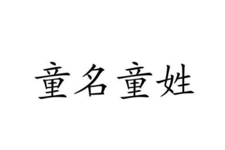 童姓女孩名字大全-童姓女孩起名字大全-童姓名字大全姓名