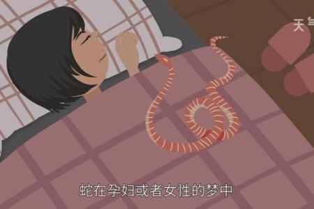 梦见算命人说我没人要