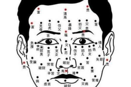 胎记算命的位置与命运