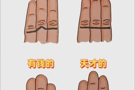 圆形手指算命
