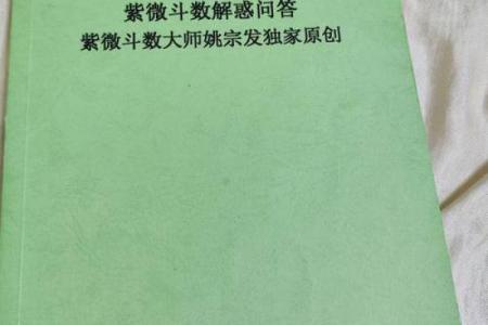 阿金紫薇斗数博客