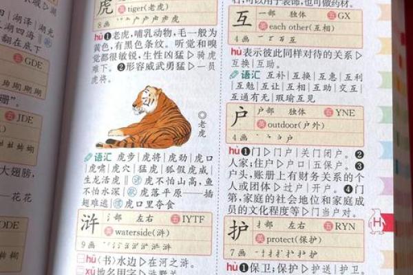 “精字典”：一本收录千万精彩含义的百科全书