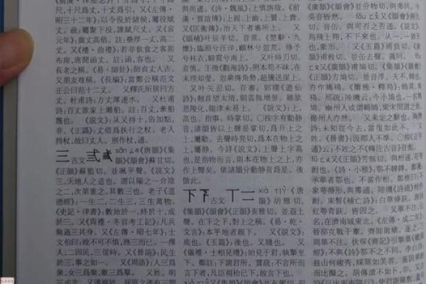 “精字典”：一本收录千万精彩含义的百科全书