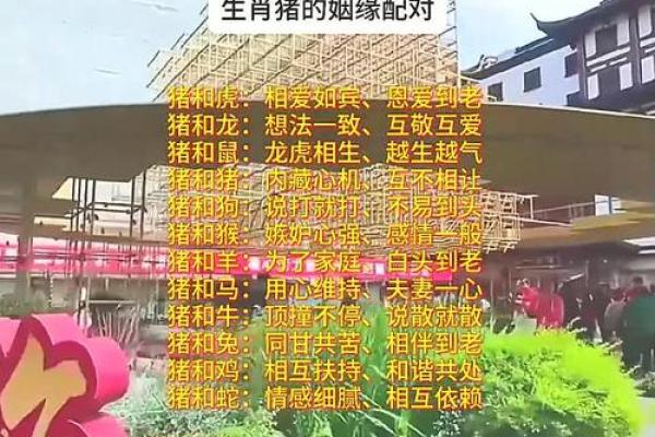 95年属猪女和什么生肖配对最好 什么时候才想要结婚
