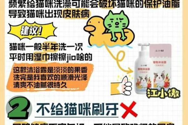 风水上哪几个生肖的人不能养猫禁忌